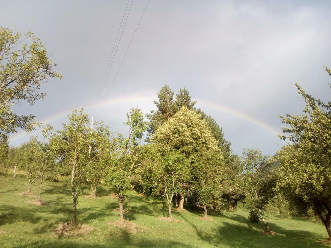 מויקובאץ Taramour Cottages. מראה חיצוני תמונה