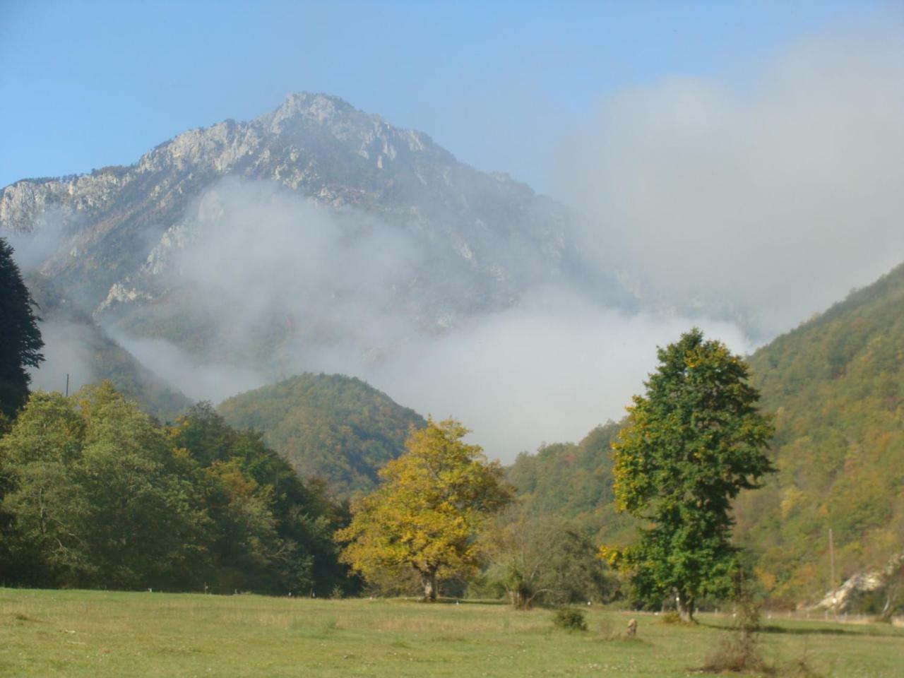 מויקובאץ Taramour Cottages. מראה חיצוני תמונה