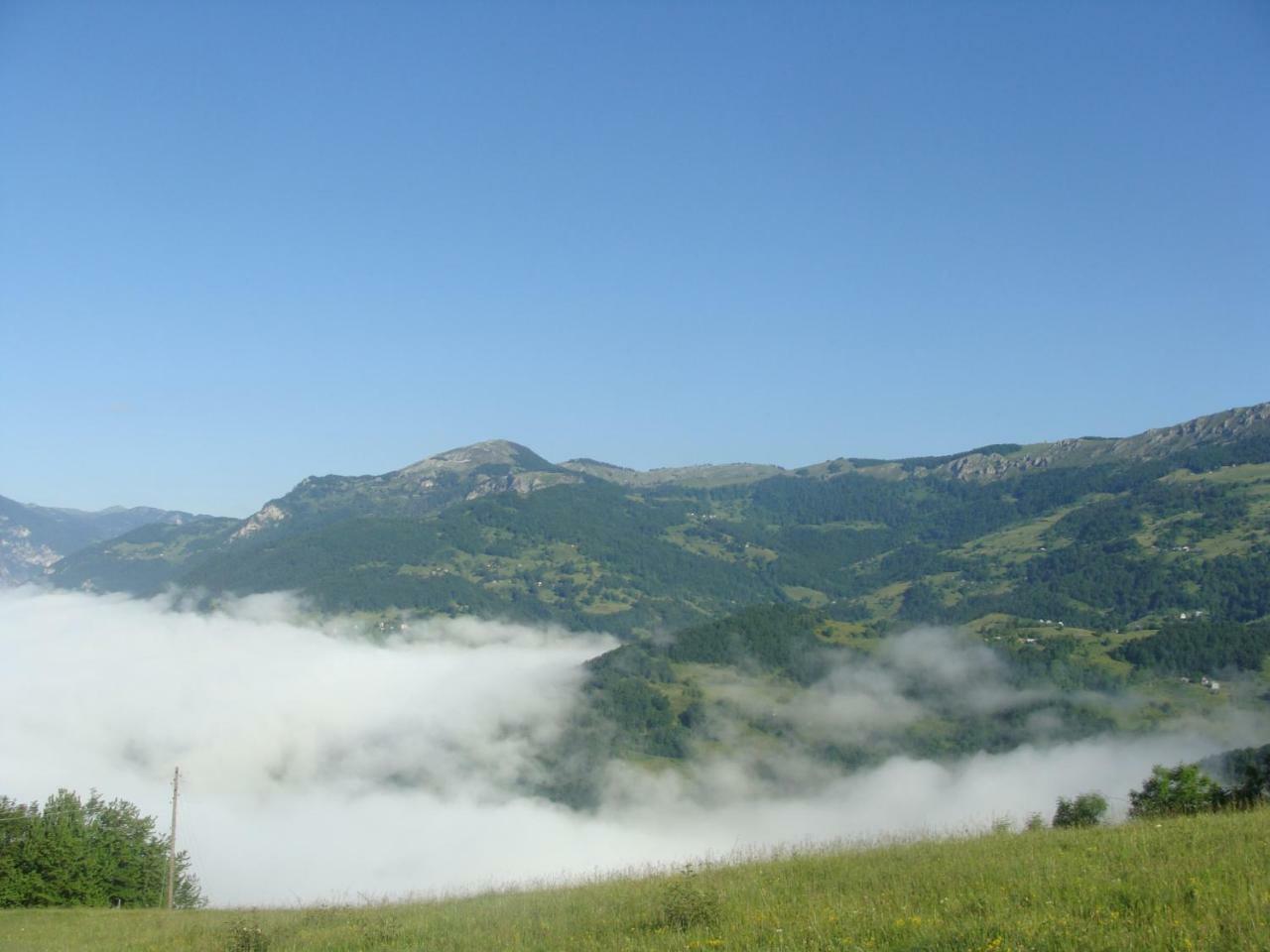 מויקובאץ Taramour Cottages. מראה חיצוני תמונה