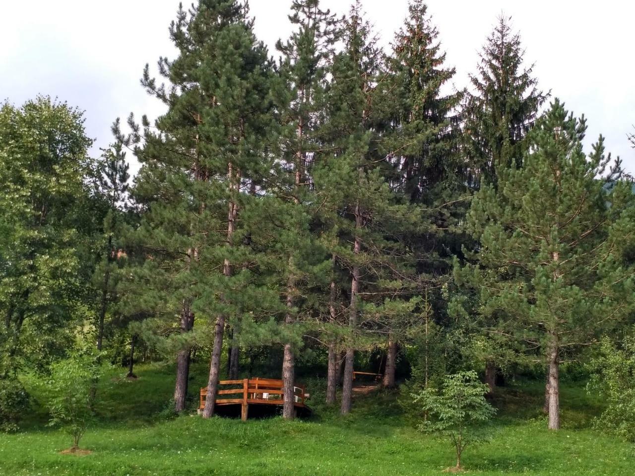 מויקובאץ Taramour Cottages. מראה חיצוני תמונה