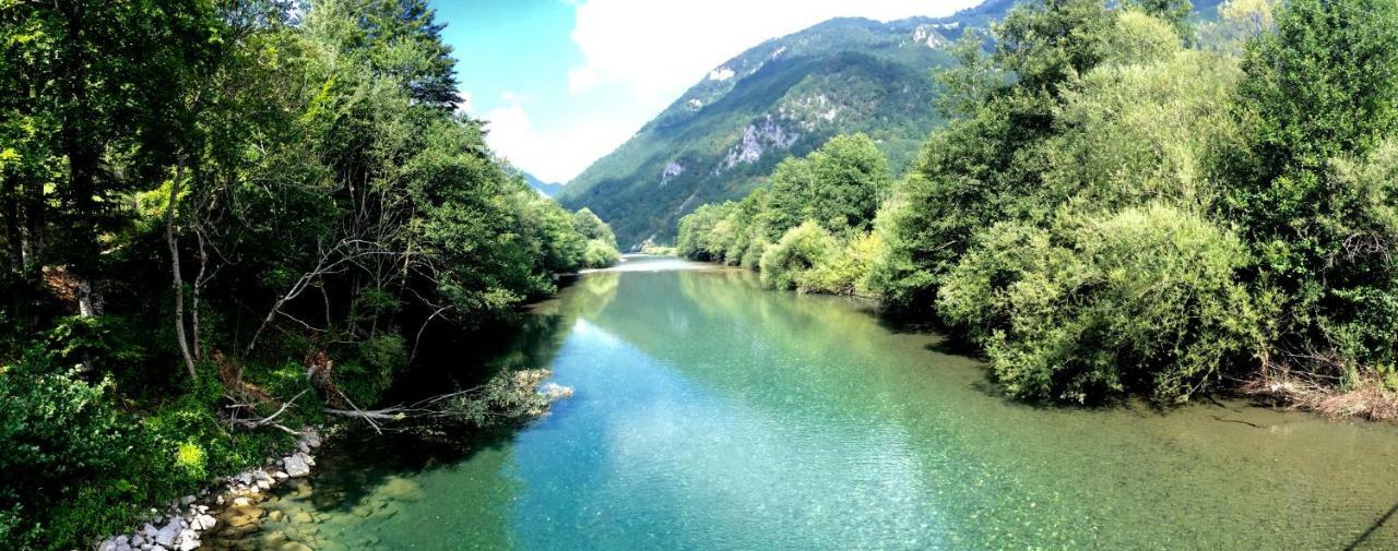 מויקובאץ Taramour Cottages. מראה חיצוני תמונה