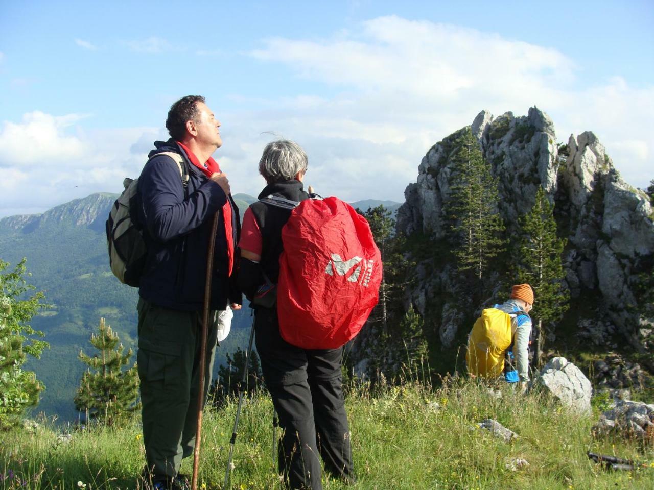 מויקובאץ Taramour Cottages. מראה חיצוני תמונה