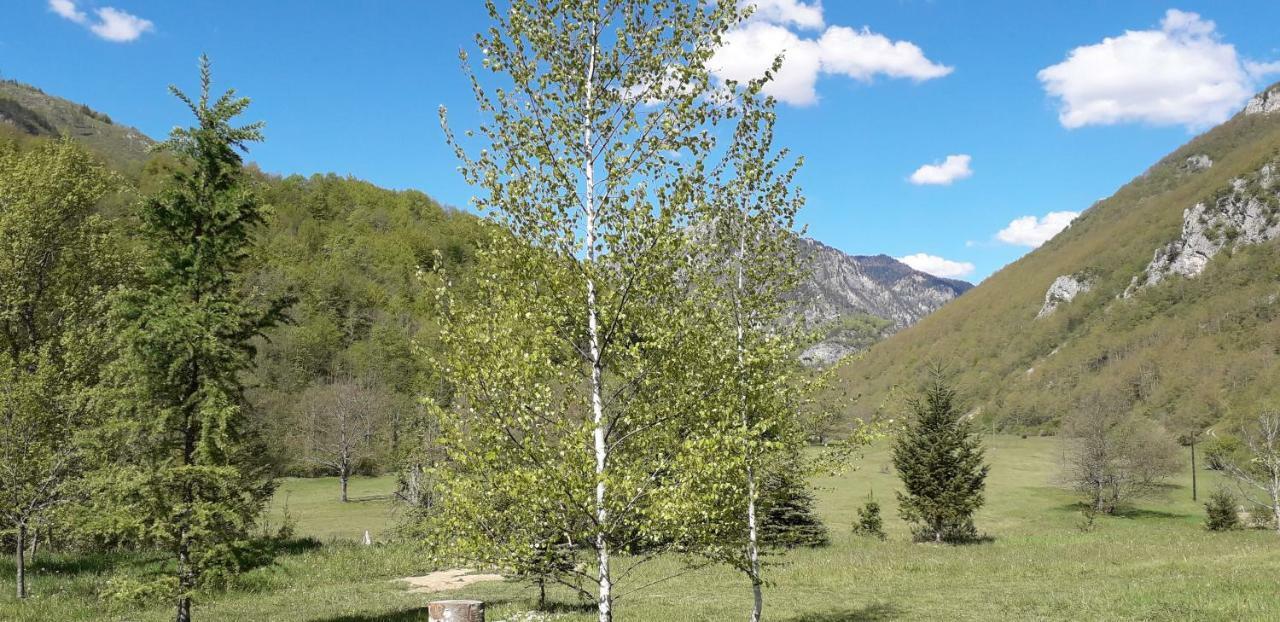 מויקובאץ Taramour Cottages. מראה חיצוני תמונה