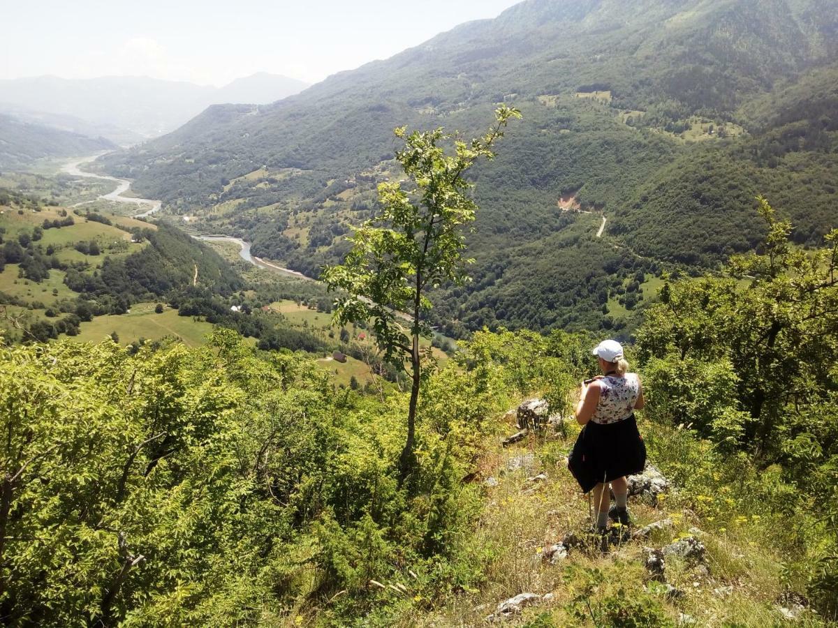 מויקובאץ Taramour Cottages. מראה חיצוני תמונה